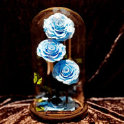 Sky Blue Trio Enchanted Roses
